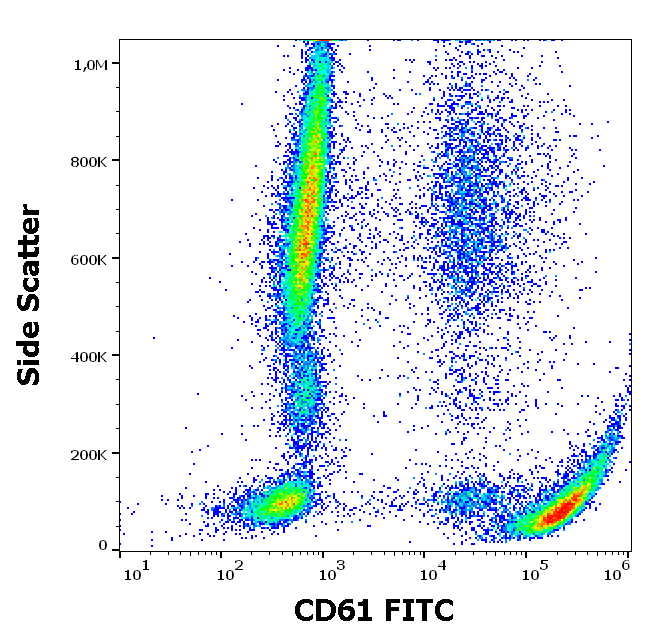 CD61 antibody (FITC)