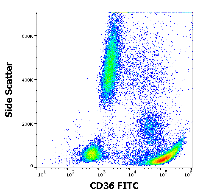 Anti-Hu CD36 FITC