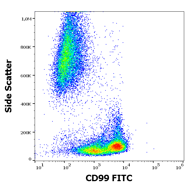CD99 antibody (FITC)
