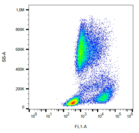 CD62P Antibody (FITC)