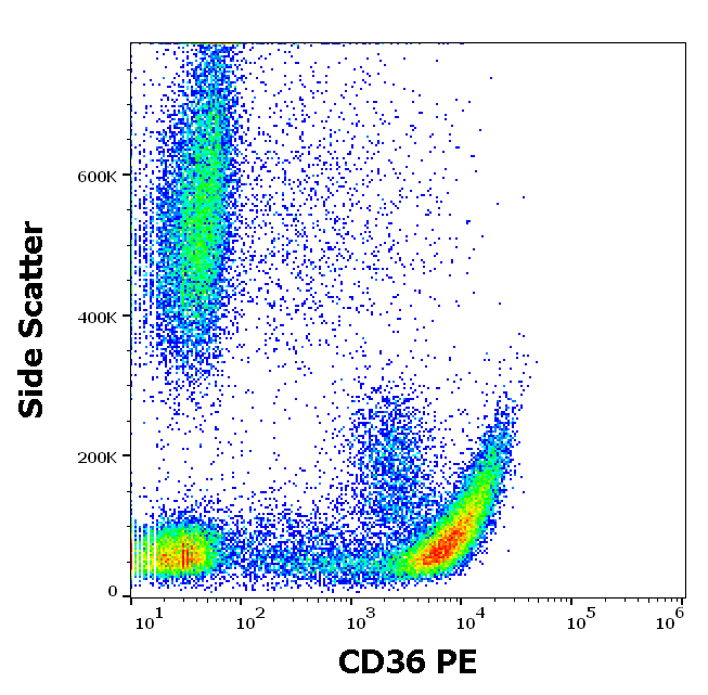 Anti-Hu CD36 PE