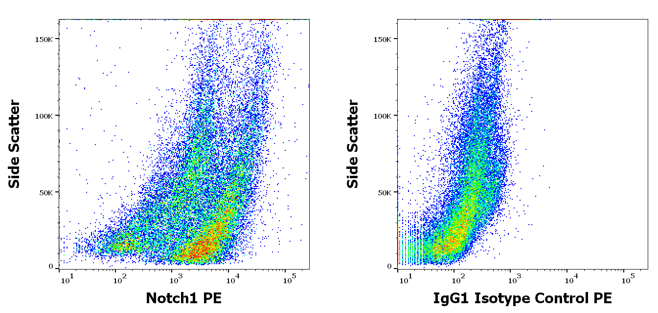 Notch 1 antibody (PE )