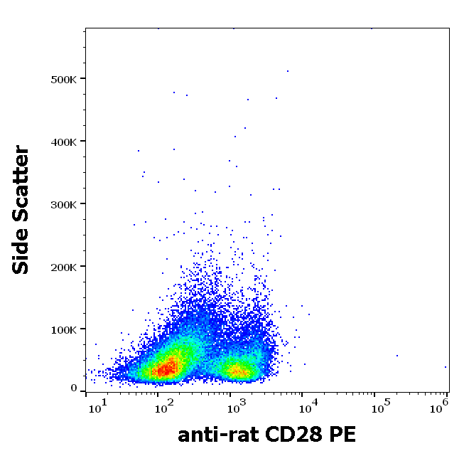 CD28 antibody (PE )