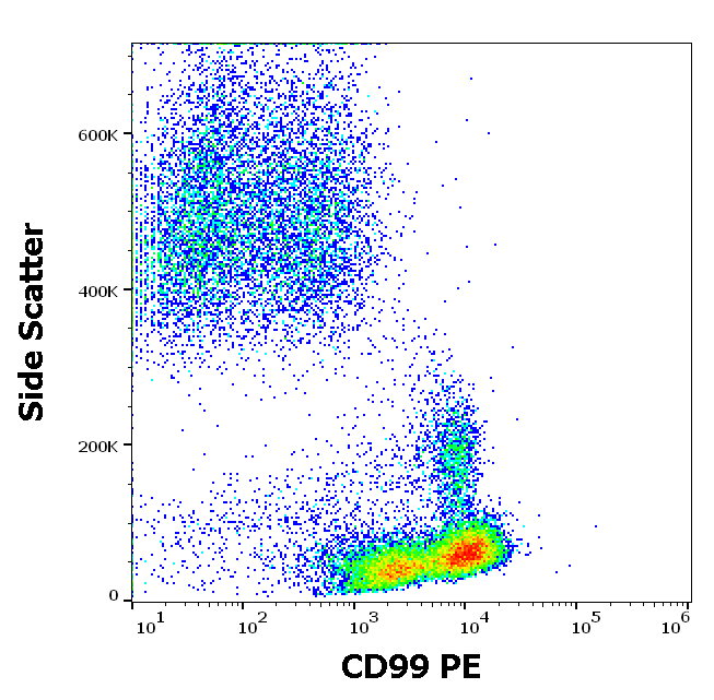 CD99 antibody (PE )