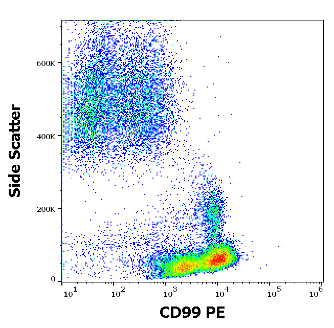 Anti-Hu CD99 PE