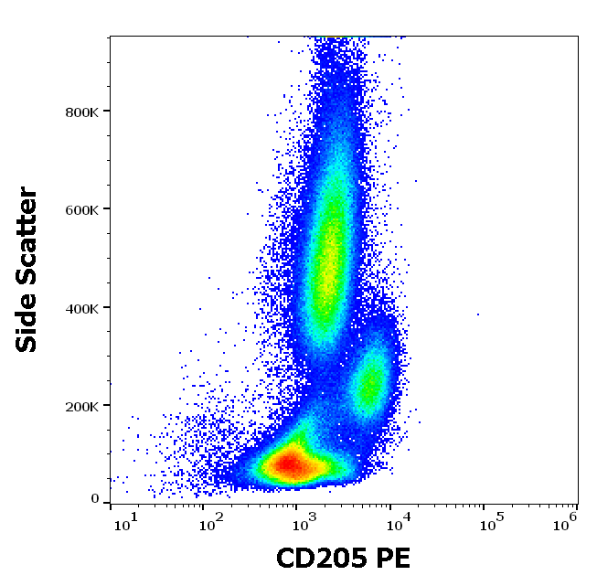 CD205 antibody (PE )