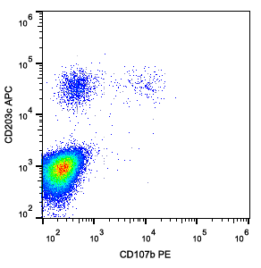 Anti-Hu CD107b PE