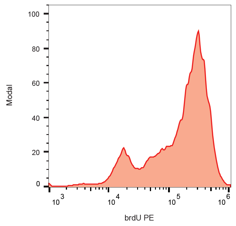 BrdU Antibody (PE)