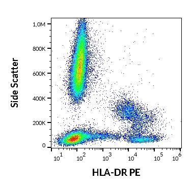 HLA-DR antibody (PE )