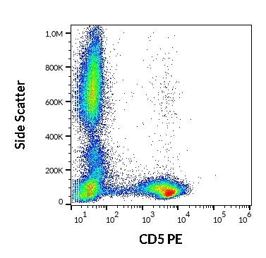 CD5 antibody (PE )