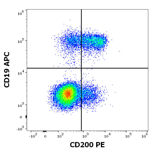 CD200 antibody (PE )