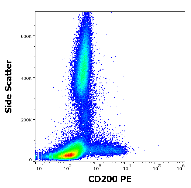 Anti-Hu CD200 PE