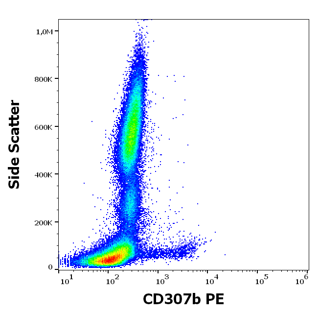CD307b Antibody (PE)