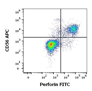 Perforin Antibody (FITC)