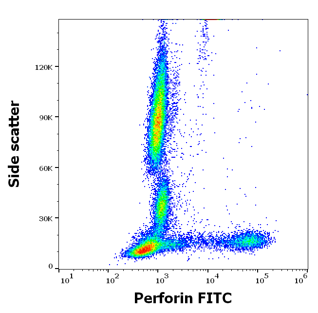 Perforin Antibody (FITC)