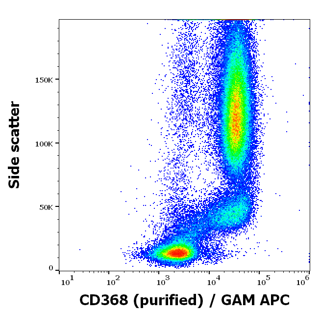 CD368 Antibody