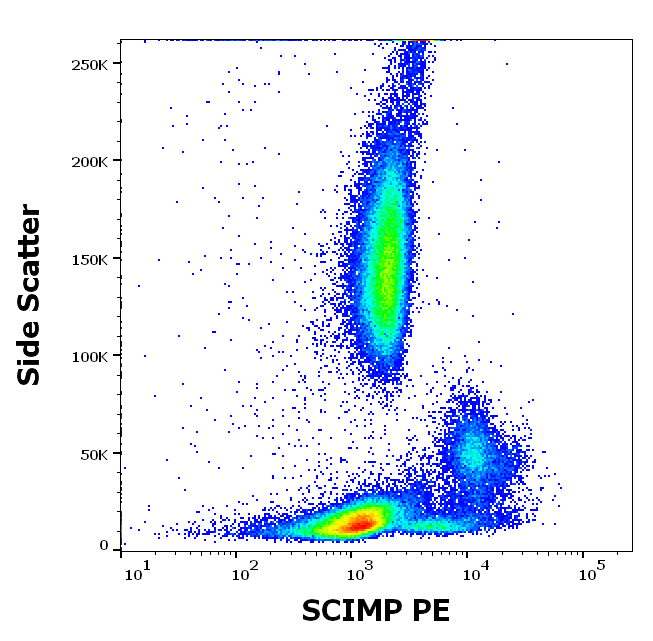 SCIMP Antibody (PE)