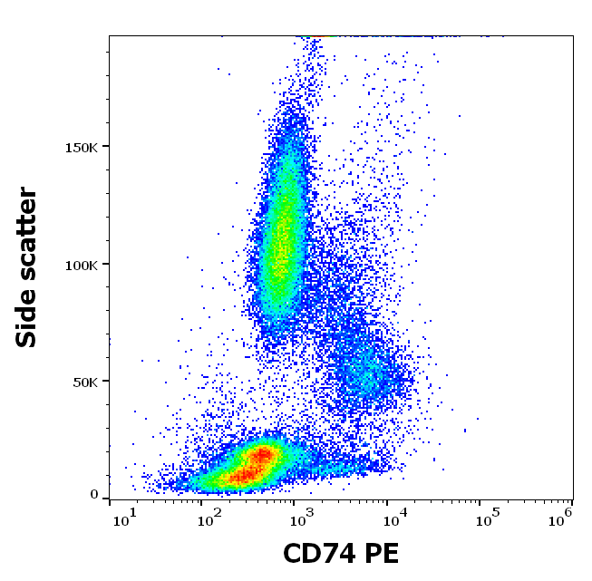 Anti-Hu CD74 PE