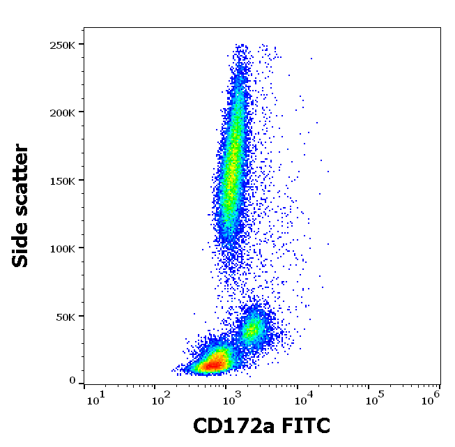 CD172a Antibody (FITC)