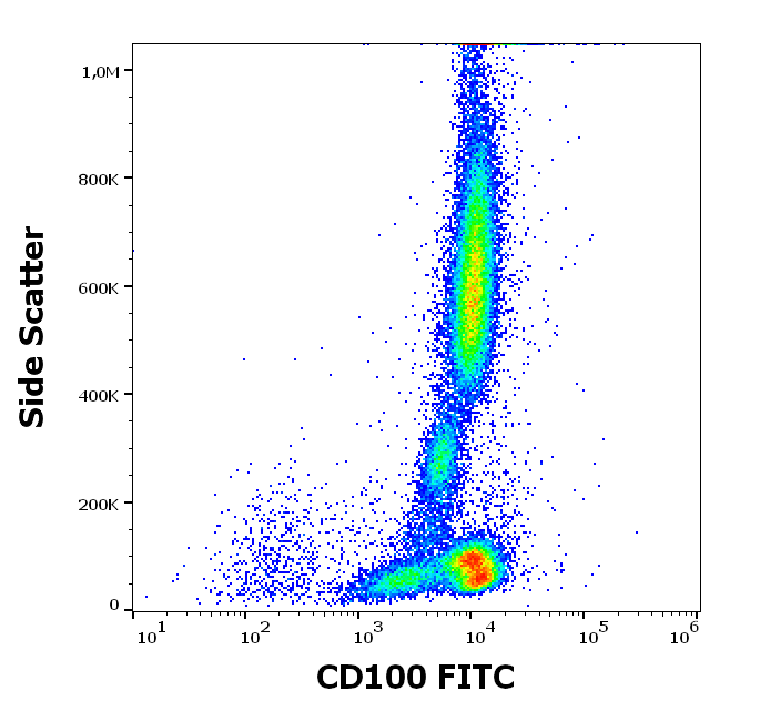 CD100 Antibody (FITC)