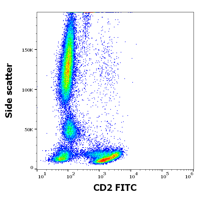 CD2 Antibody (FITC)