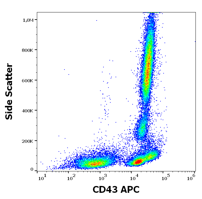 CD43 Antibody (APC)