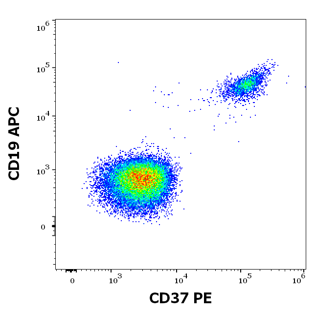 CD37 Antibody (PE)