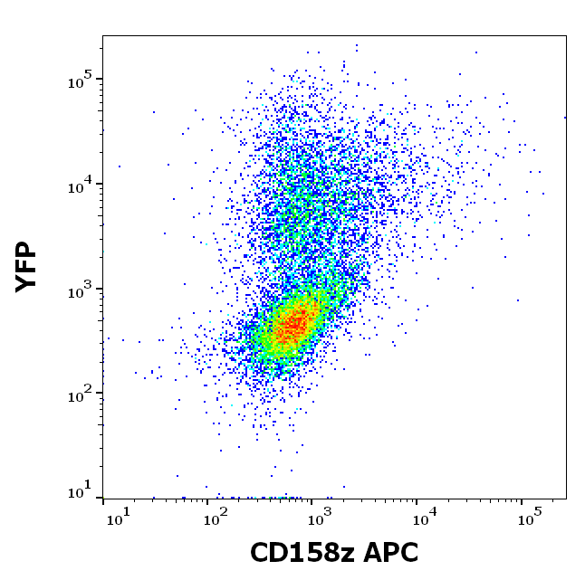 CD158z Antibody (APC)