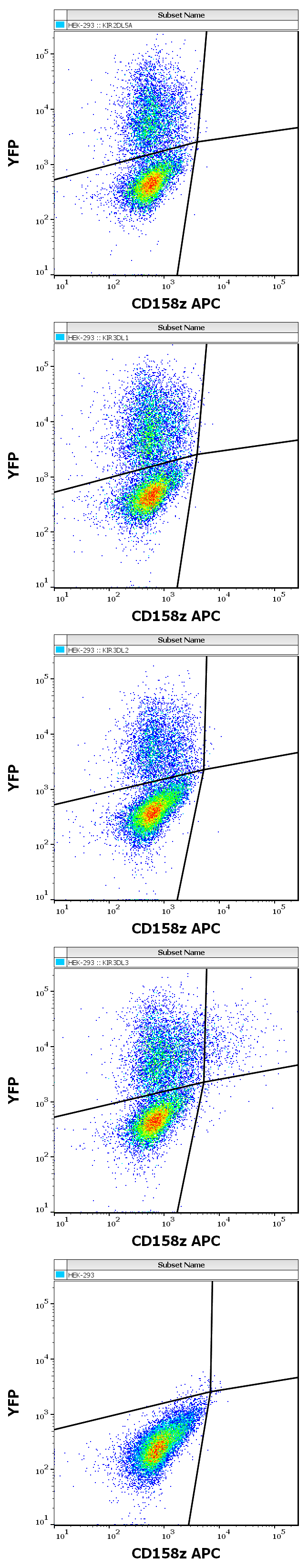 CD158z Antibody (APC)