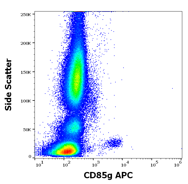 CD85g Antibody (APC)