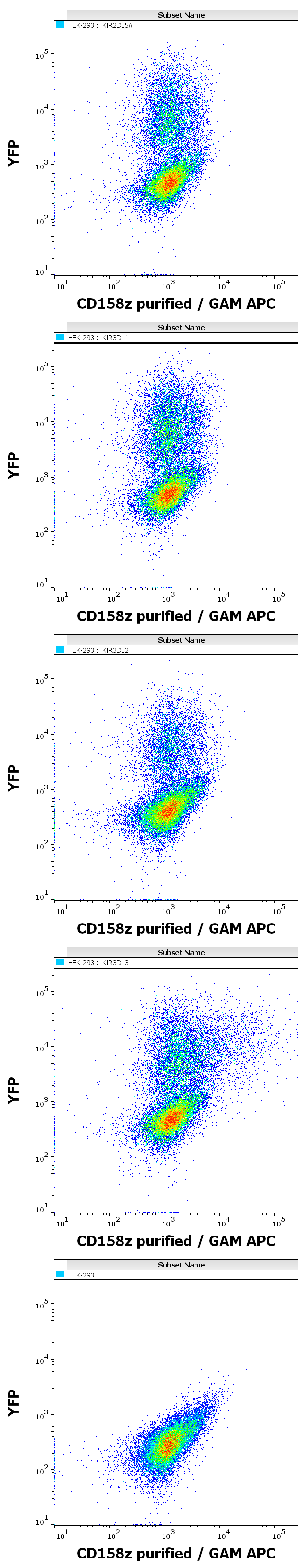 CD158z Antibody