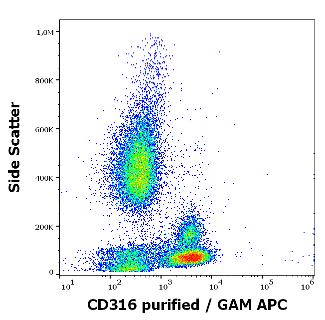Anti-Hu CD316 Purified