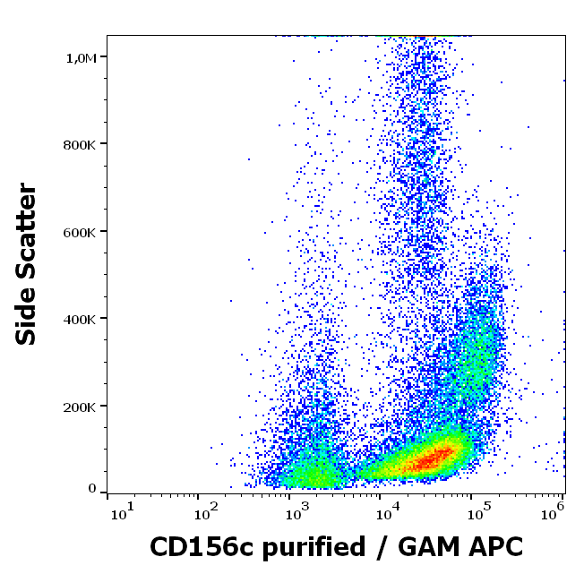 Anti-Hu CD156c Purified