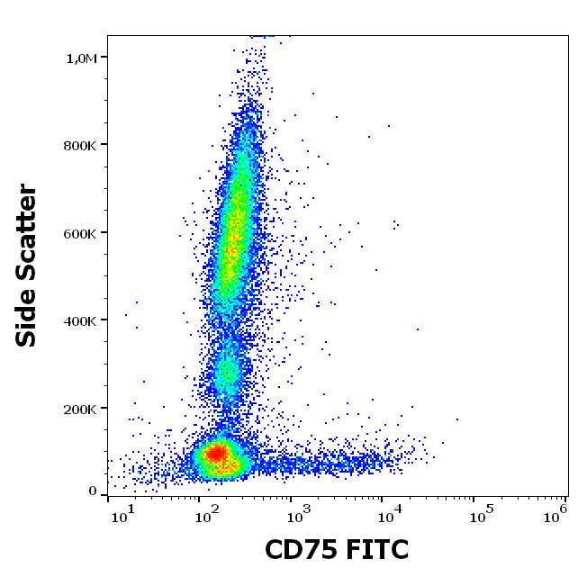 CD75 Antibody (FITC)