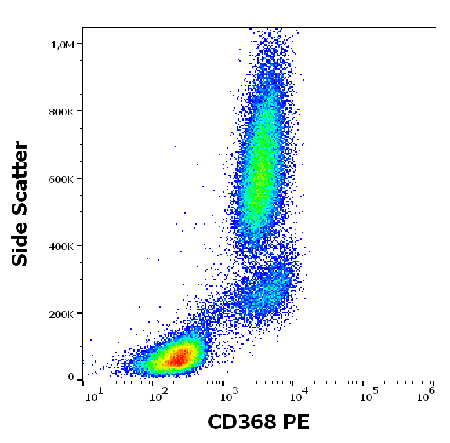 CD368 Antibody (PE)
