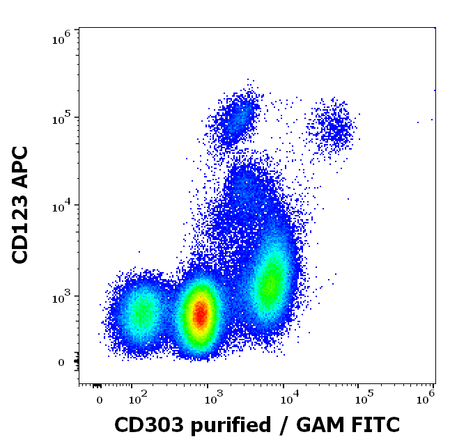CD303 Antibody