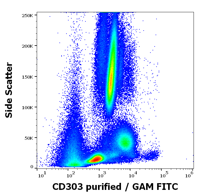 Anti-Hu CD303 Purified