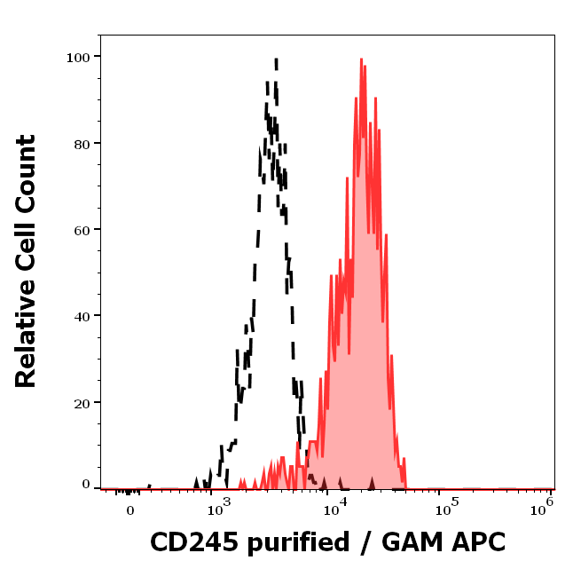 CD245 Antibody