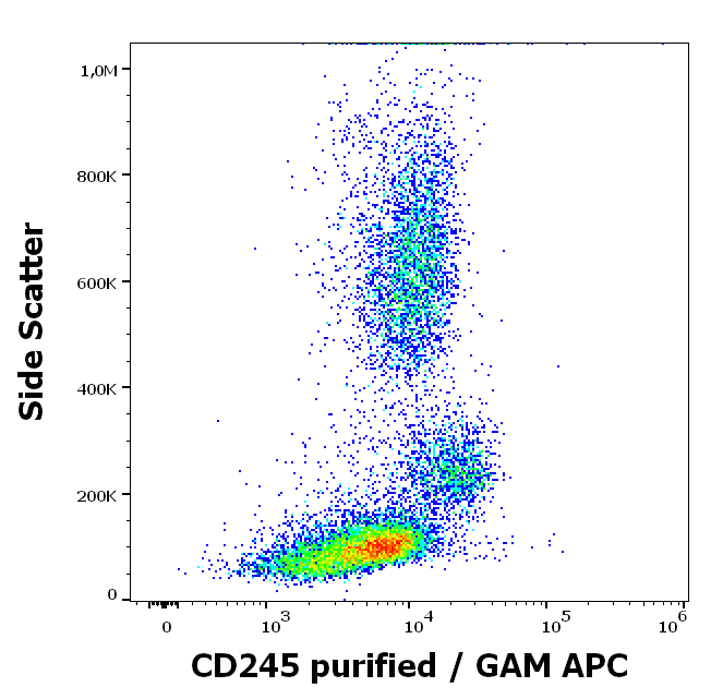 Anti-Hu CD245 Purified
