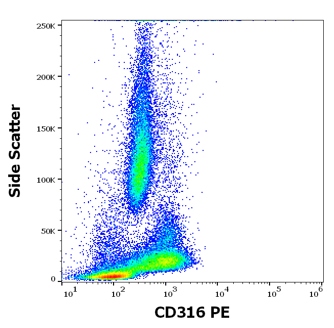 CD316 Antibody (PE)