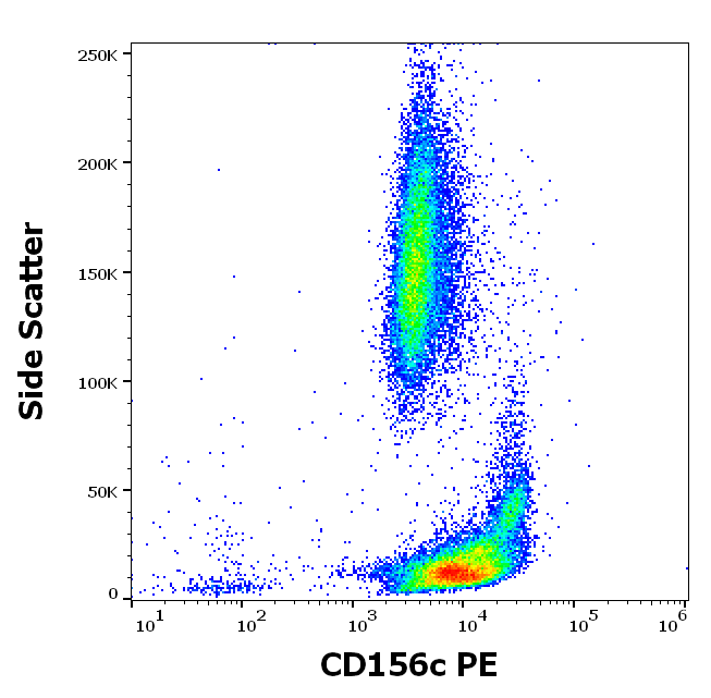 CD156c Antibody (PE)