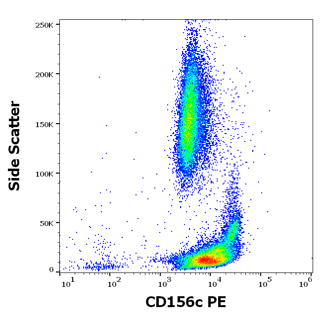 Anti-Hu CD156c PE