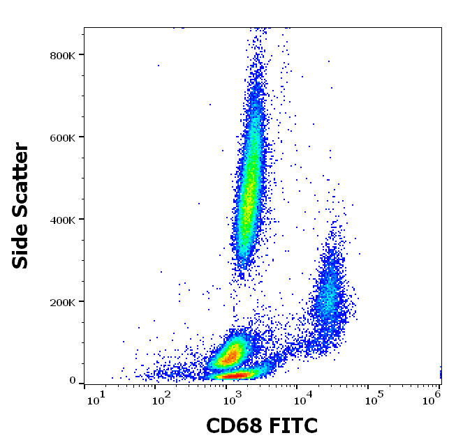 CD68 Antibody (FITC)