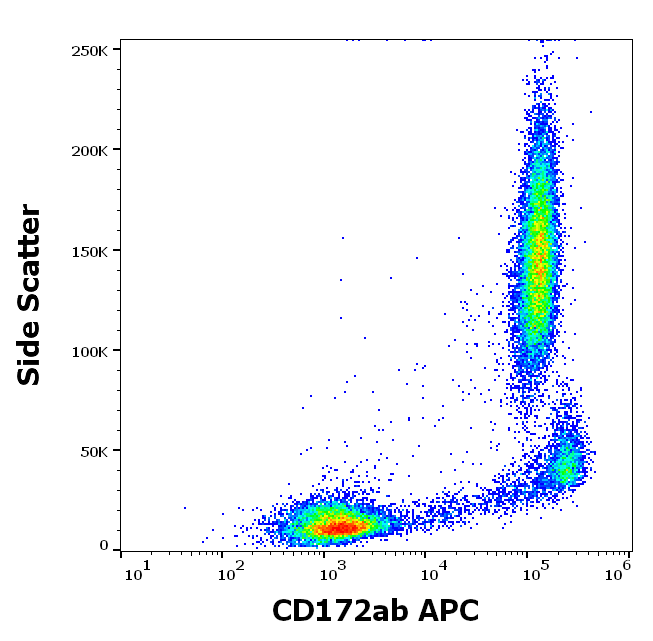 CD172ab Antibody (APC)