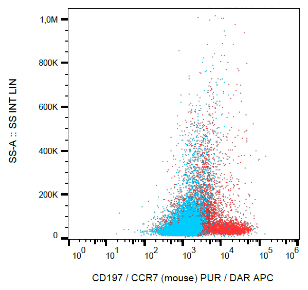 CD197 Antibody