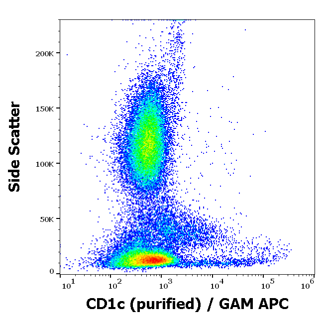Anti-Hu CD1c Purified
