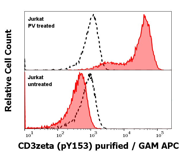 Anti-Hu CD3 zeta (pY153) Purified