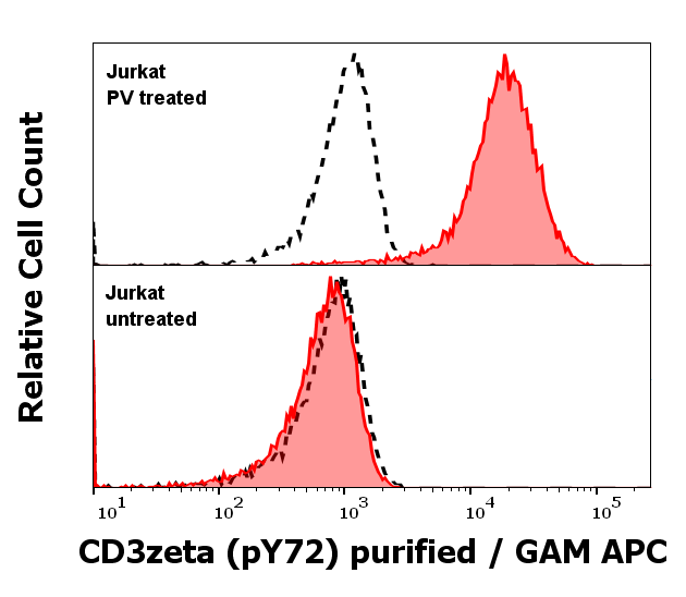 Anti-Hu CD3 zeta (pY72) Purified