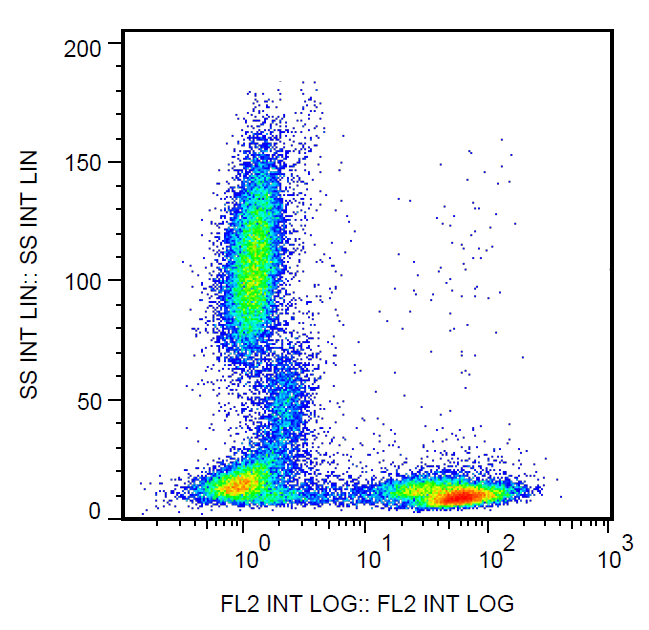 CD5 Antibody (Biotin)