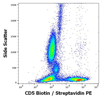 CD5 Antibody (Biotin)